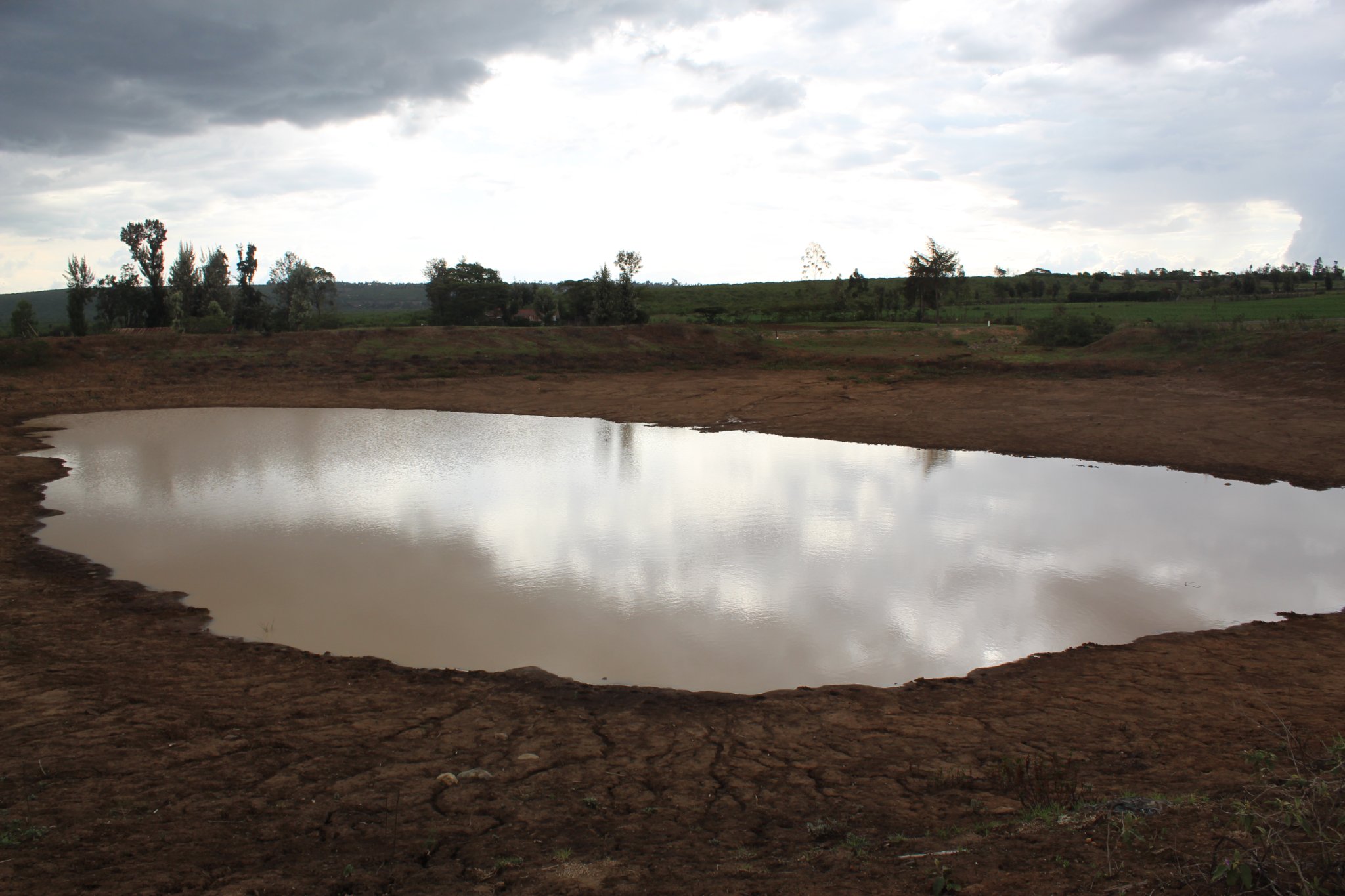 282339920_5010793599039783_1022691572164755190_n