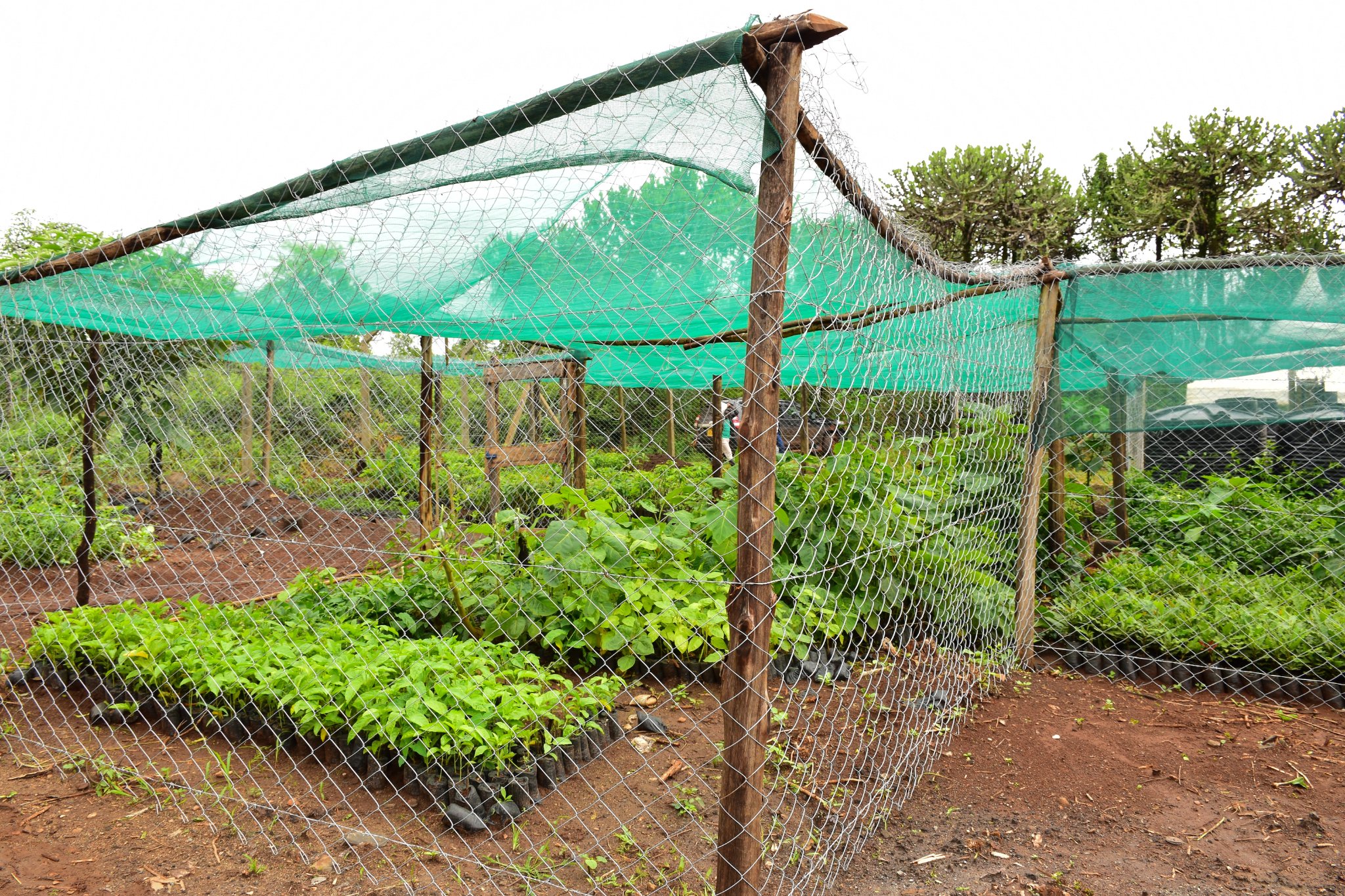 287580655_5043928949059581_6430219667167346714_n