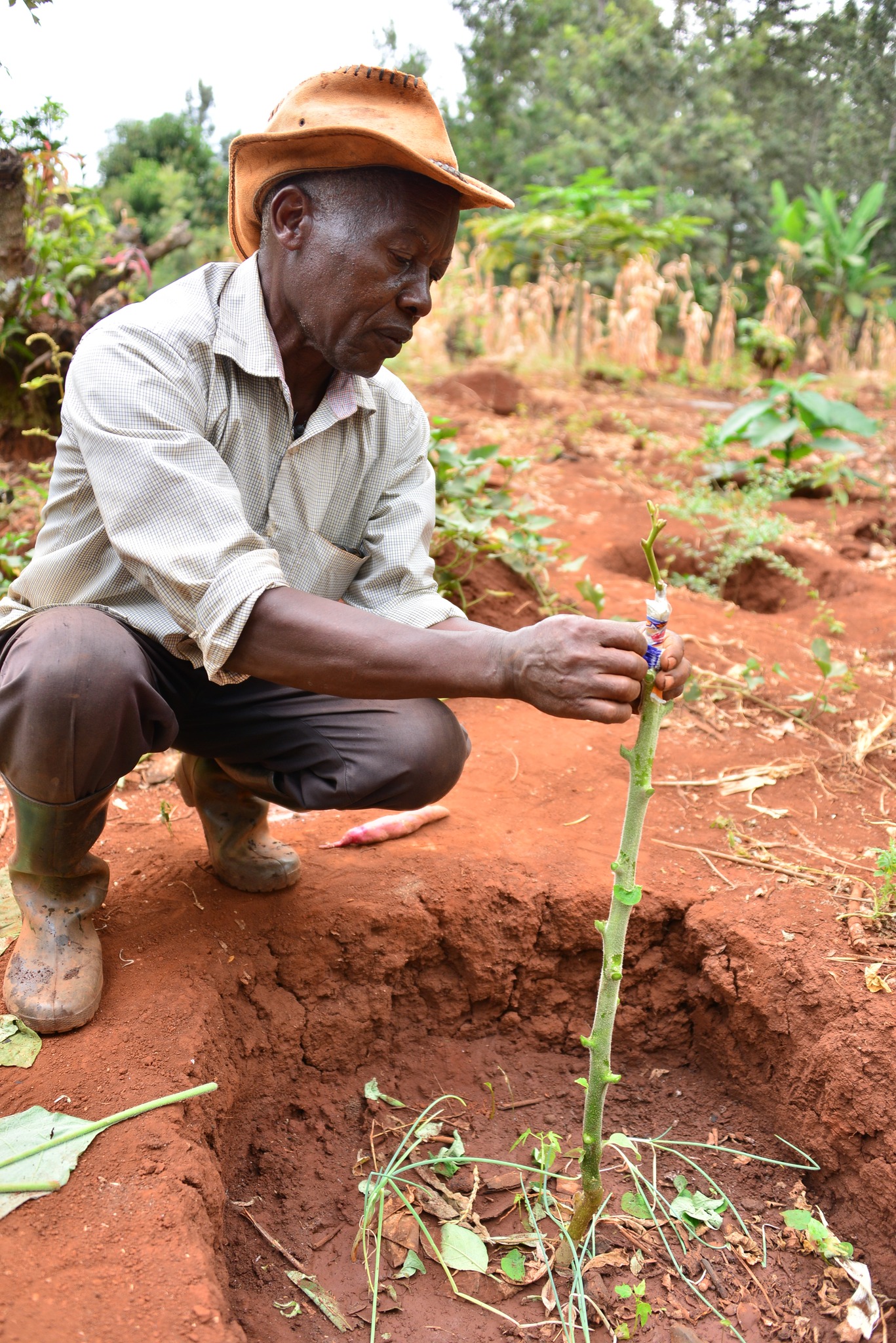 312906576_406493705025759_2055513922675525656_n