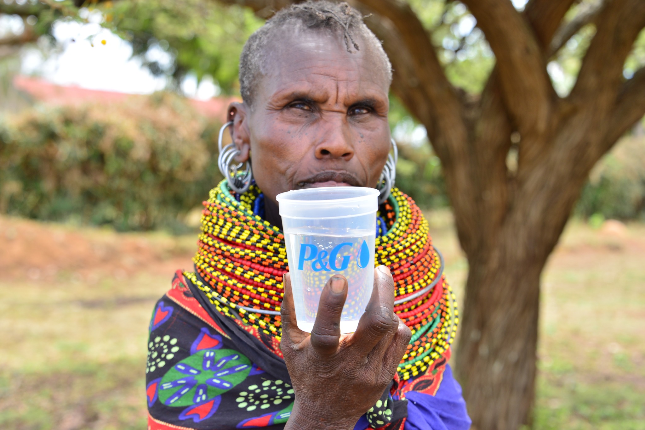 343173701_254426320283008_2789490859521047458_n